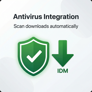 IDM官网 - IDM Streamlabs集成